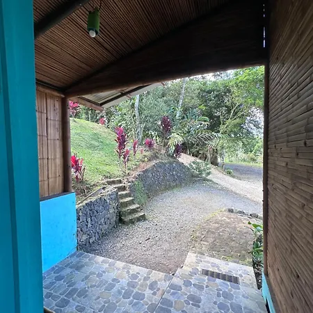 Eco-Bamboo Cottages Turrialba Exterior photo