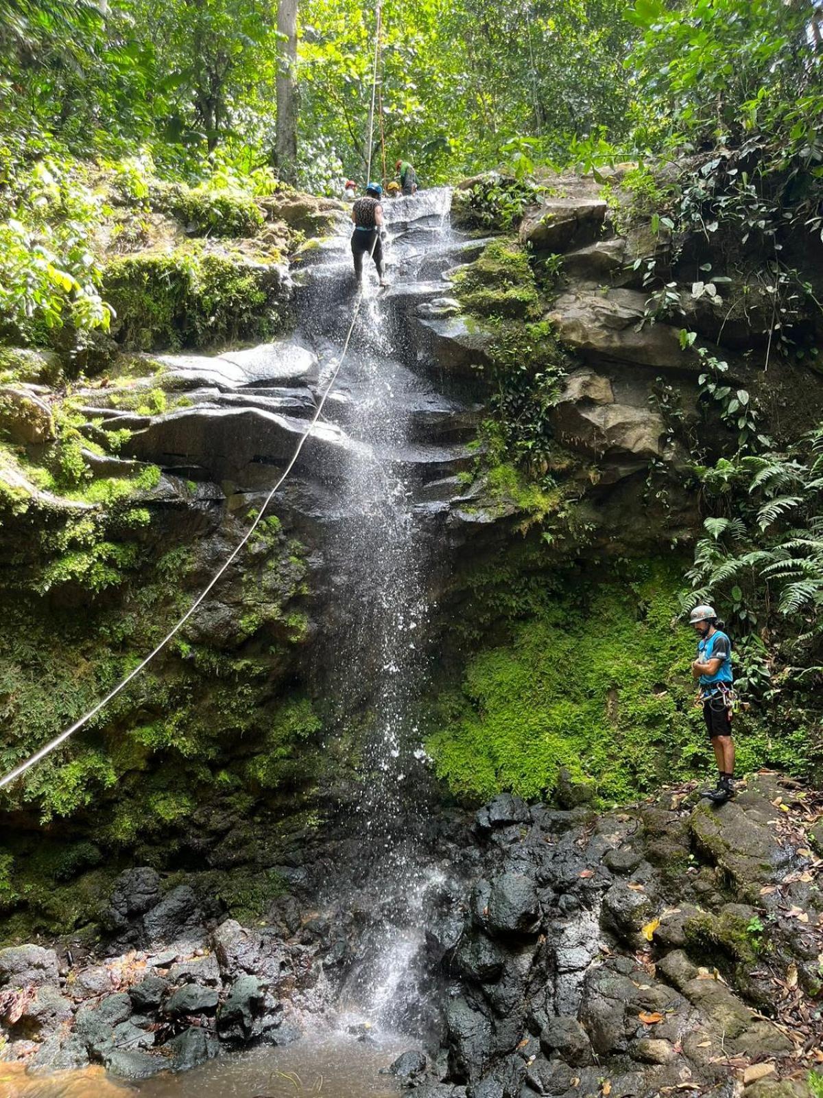 Eco-bamboo Turrialba
