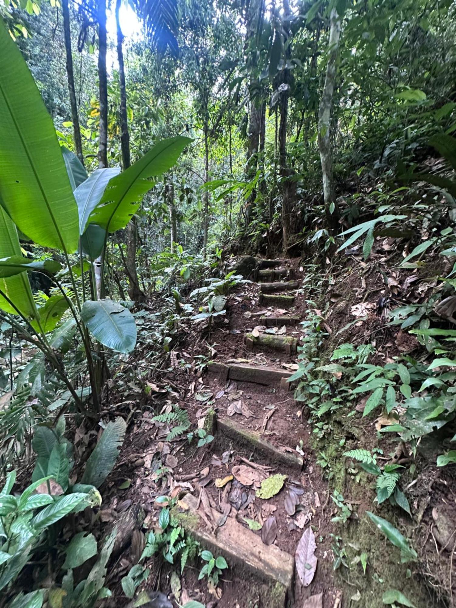 Eco-bamboo Turrialba